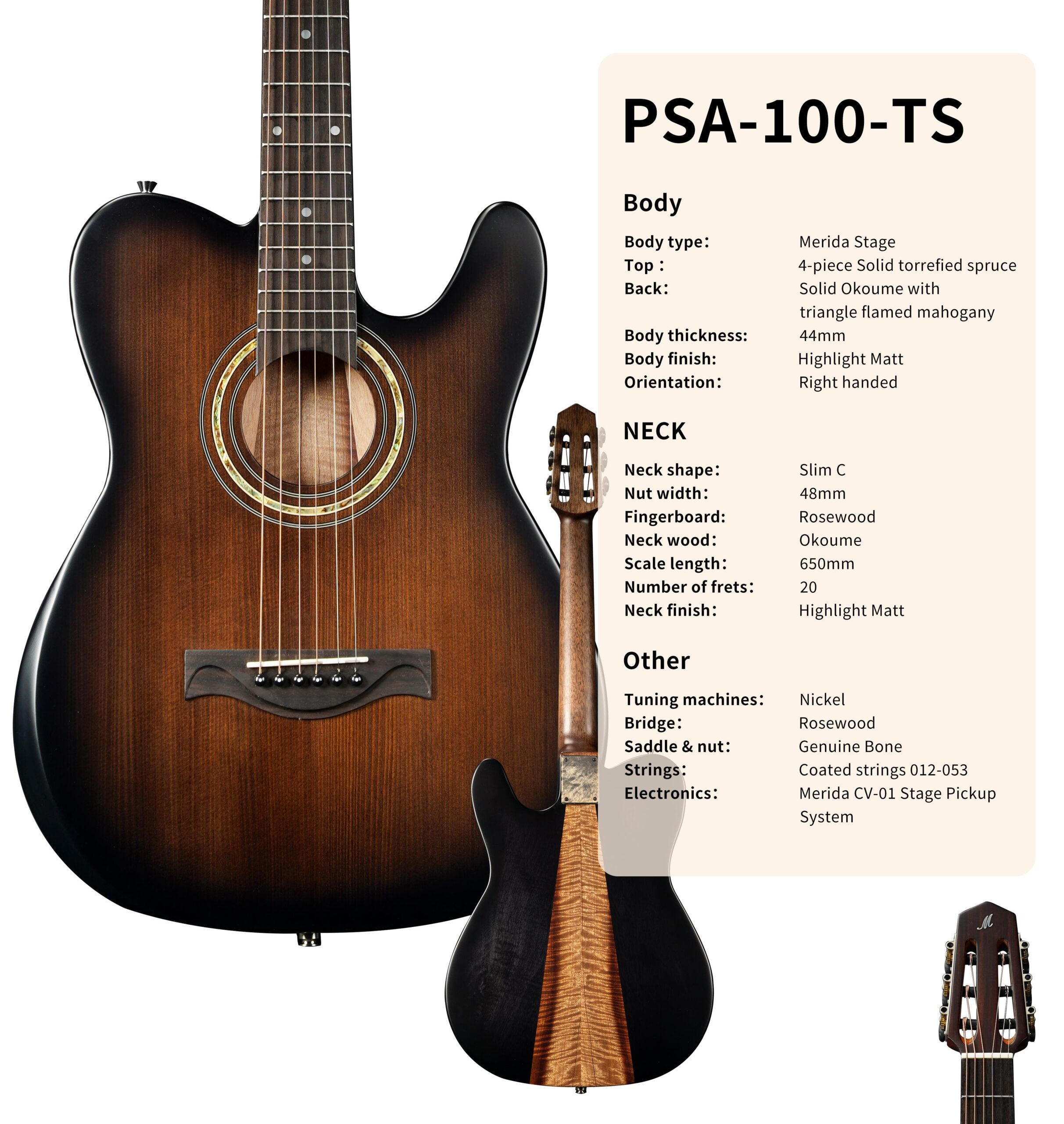 MERIDA PSA-100-TS - immagine 4