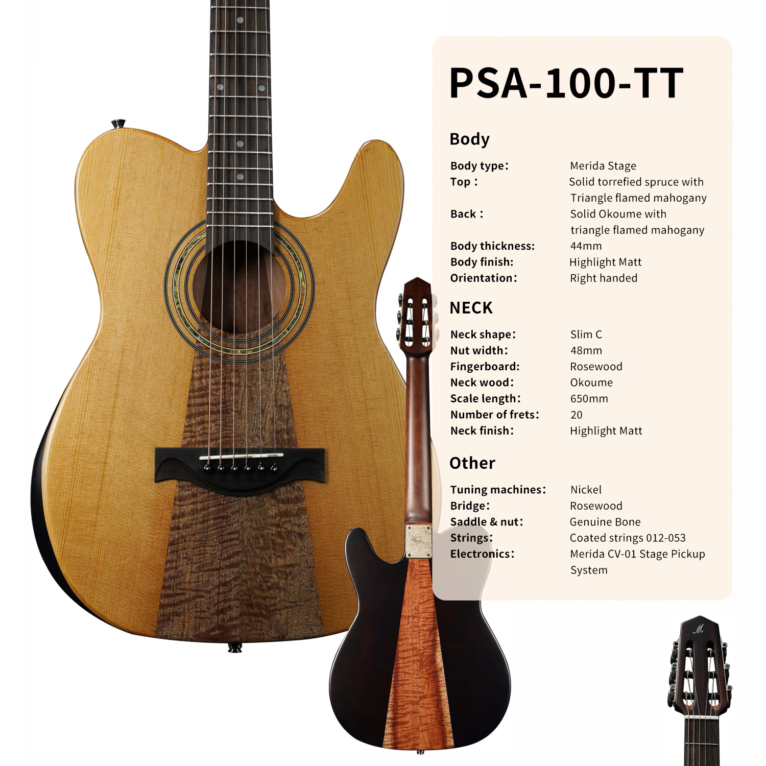 MERIDA PSA-100-TT